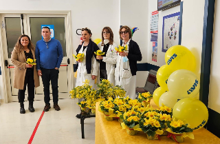 Ancona – Giornata giallo rosa plasma in occasione della festa della donna